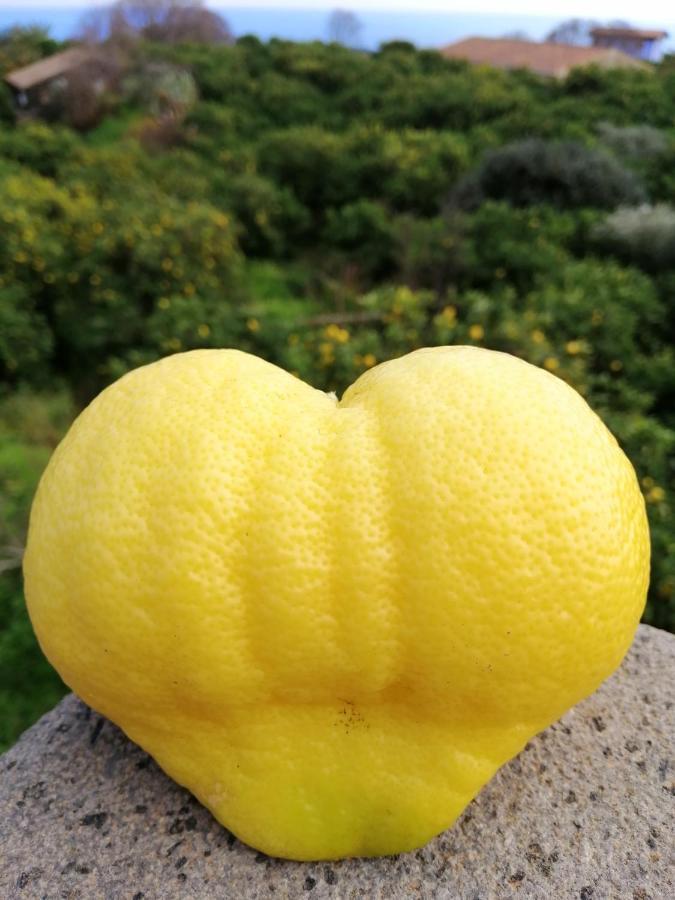 הוילה Il Limoneto אסראלה מראה חיצוני תמונה
